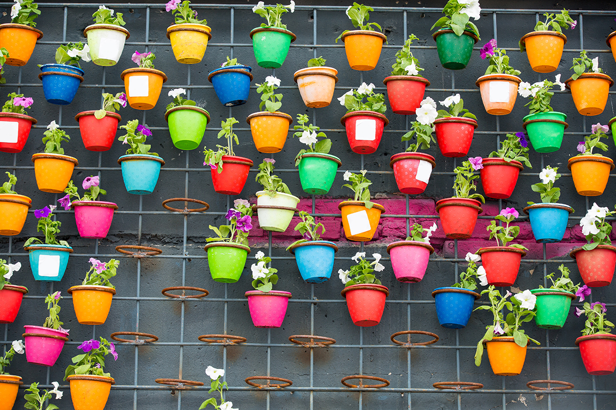 Colorful flowers pots hanging on the wall with beautiful flowers on the agricultural market. Scenic decoration of the exterior
