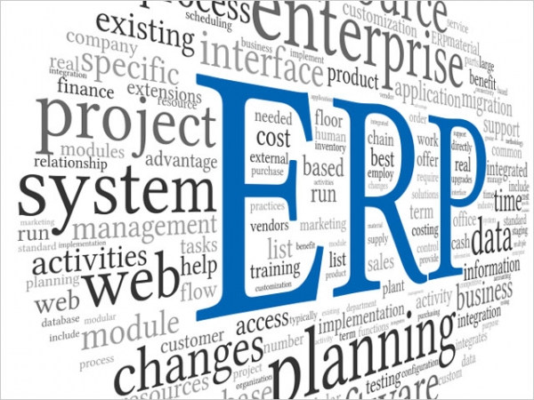 10 Reasons Why ERP Is Important for Businesses and Organizations
