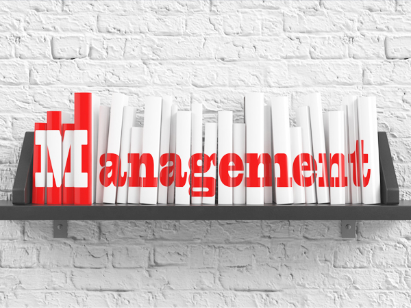 Knowledge Management Software: Why Your Business Needs One