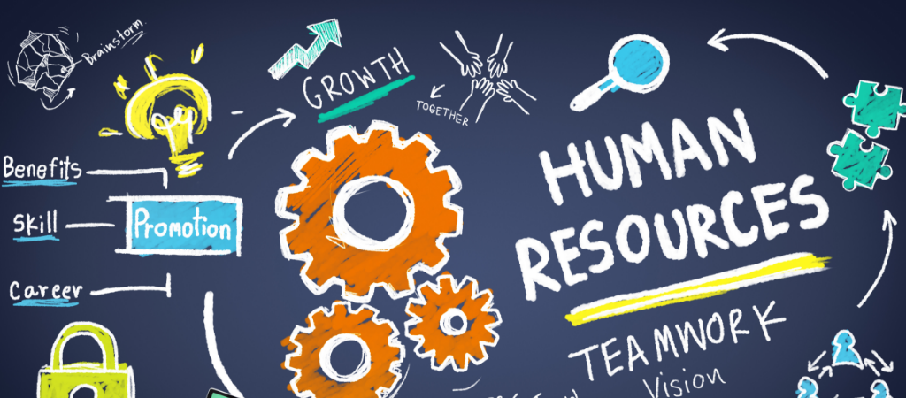 What Is Human Resource Management Software and Its Importance
