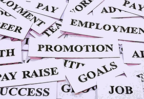 Compensation Management Software