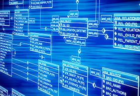 Database Management Software