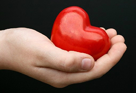Donor Management Software