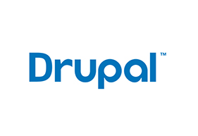 Drupal Development Companies