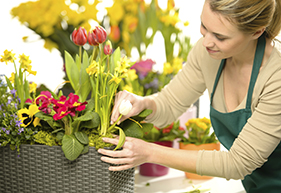Florist Software