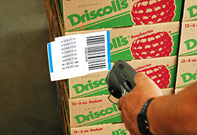 Food Traceability Software