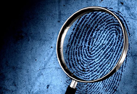 Investigation Management Software