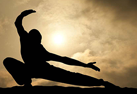 Martial Arts Software