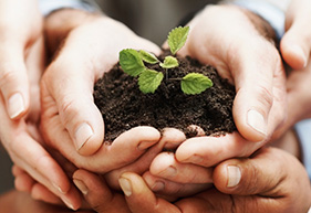 Non-Profit Accounting Software
