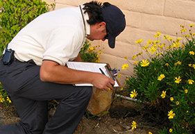 Pest Control Software