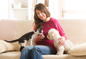 Pet Sitting Software