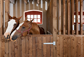 Stable Software