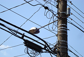 Utility Billing Software