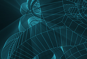 Wireframe Software